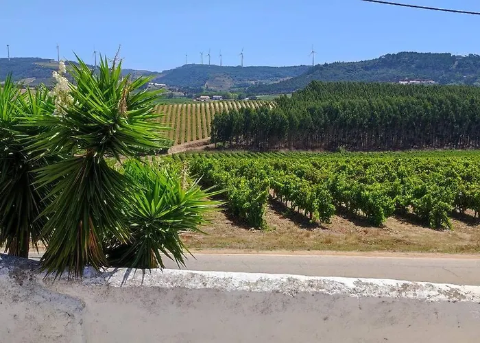 Ocean & Countryside דירה